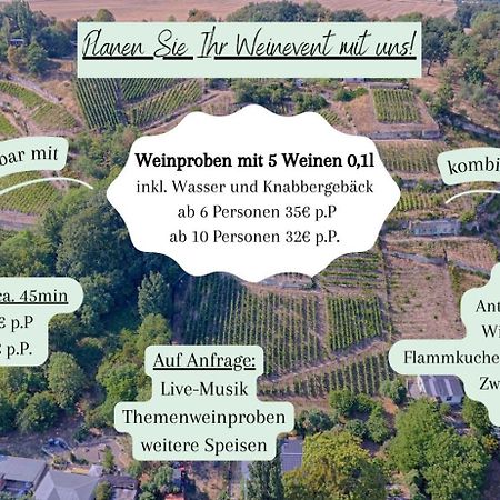 Ferienhaus Traminer Im Weinberg فرايبورغ المظهر الخارجي الصورة