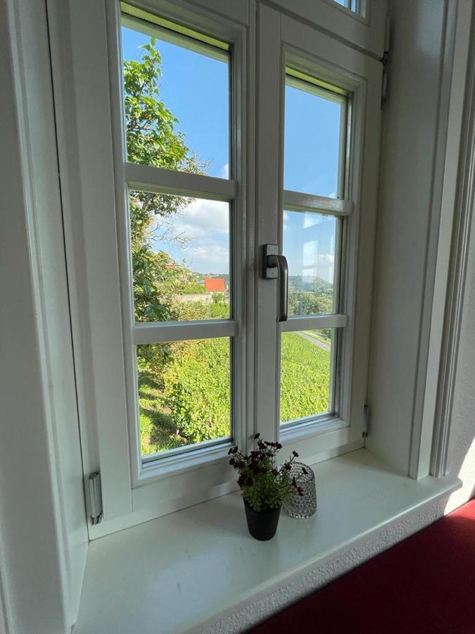 Ferienhaus Traminer Im Weinberg فرايبورغ المظهر الخارجي الصورة