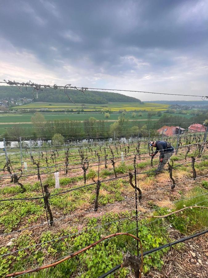 Ferienhaus Traminer Im Weinberg فرايبورغ المظهر الخارجي الصورة