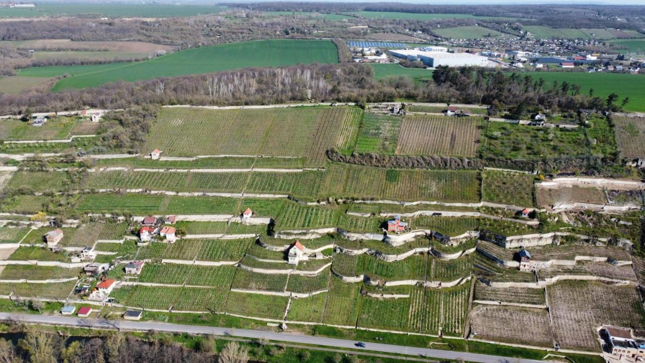 Ferienhaus Traminer Im Weinberg فرايبورغ المظهر الخارجي الصورة