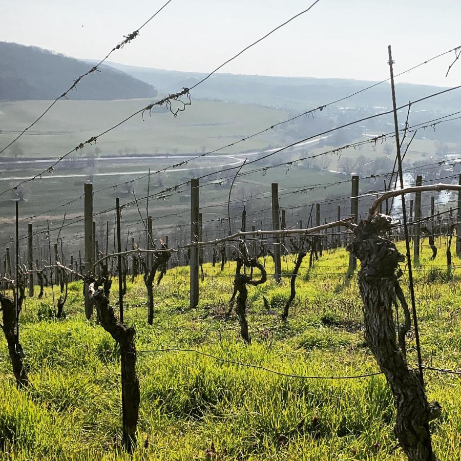 Ferienhaus Traminer Im Weinberg فرايبورغ المظهر الخارجي الصورة