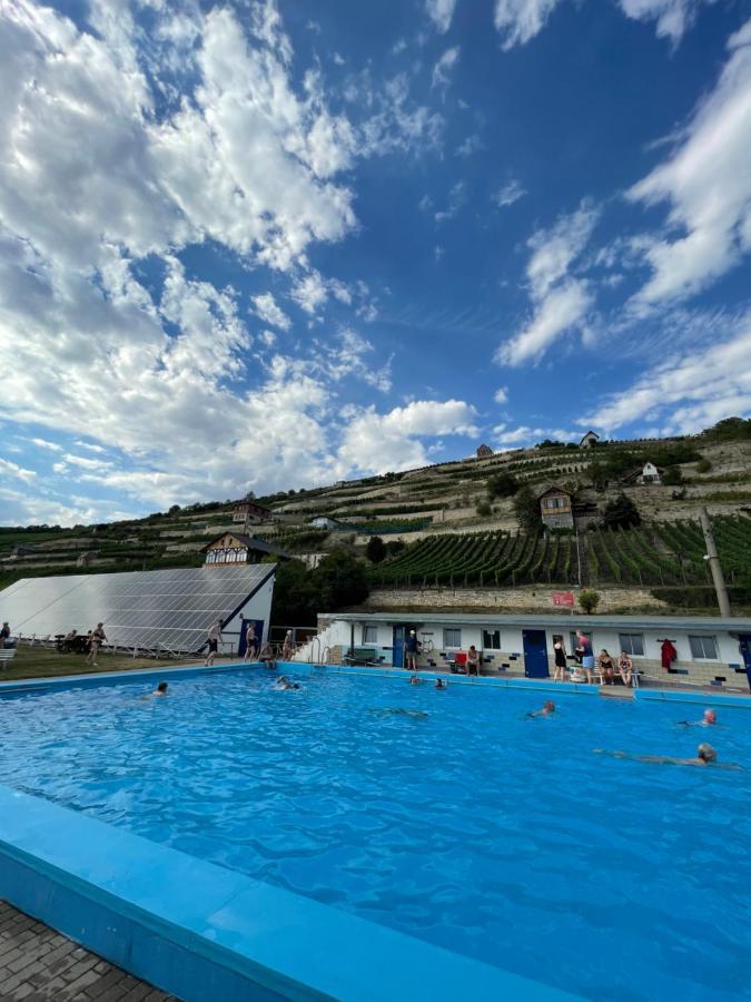 Ferienhaus Traminer Im Weinberg فرايبورغ المظهر الخارجي الصورة
